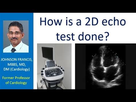 2d echo meaning tagalog|Two.